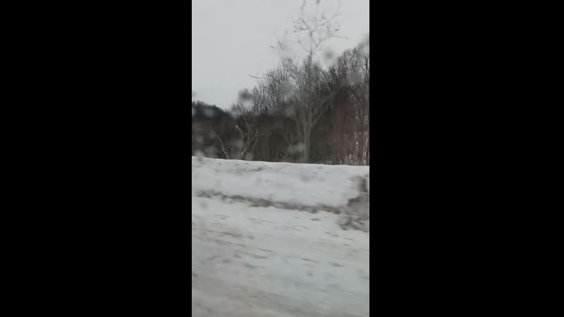 VID_20210130_132310.mp4