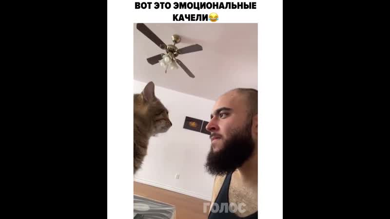 С характером киса😂