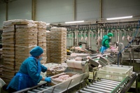 вахта от 15 смен с проживанием и питанием. вахта в москве с проживанием. фм логистик ступино копакинг. упаковщик конфет вахта 15/30. вахта 15 смен.