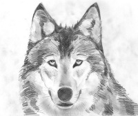 Сергей Васильев