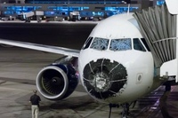 Столкновение самолета с птицей. Самолет после столкновения с птицей. Пассажирский самолет. Гибли самолет. Пассажирский самолет.