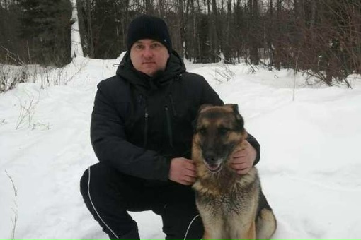 Две немецкие овчарки, отслужившие в ИК №6 в Можгинском районе, вышли на заслуженный отдых.