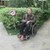 Василий Держаков